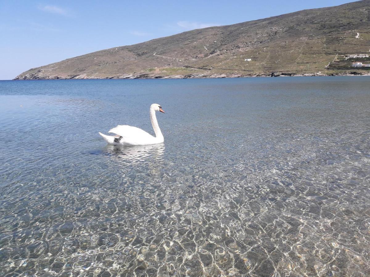 Liopi Village Andros Ormos  Luaran gambar